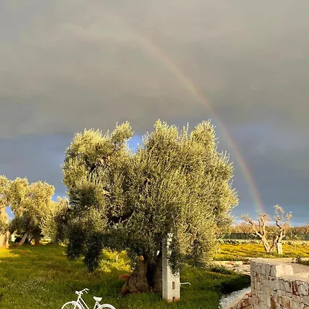 La Terrazza Di Lillo