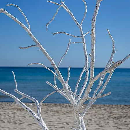 Appartement La Terrazza Di Lillo Carovigno