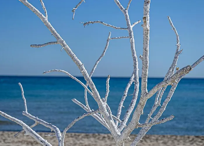 דירה La Terrazza Di Lillo קרוביניו